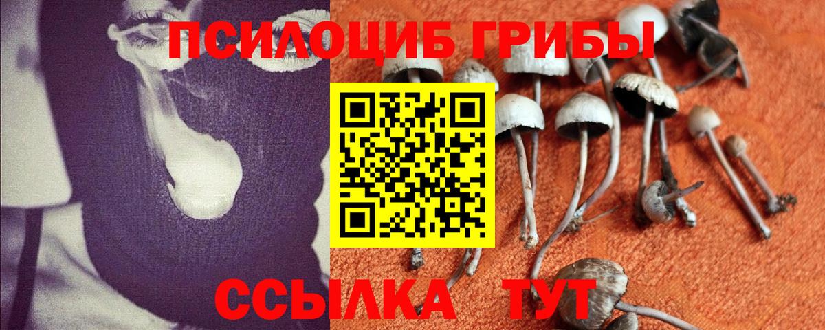 Торжок  Галлюциногенные грибы Magic Shrooms  как найти   Вход с VPN 